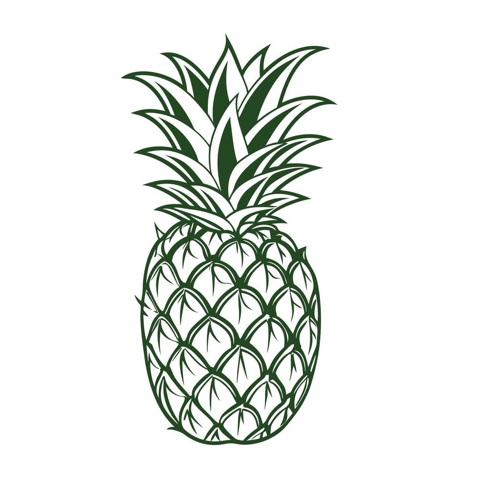 Ripe pineapple isolated on white background hand drawn illustration vector