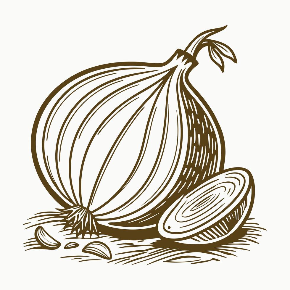 Onion whole bulb and cut into half line icon illustration vector