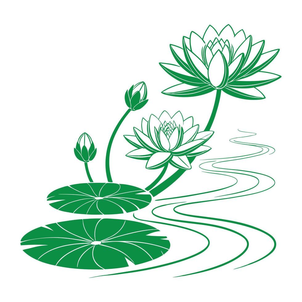 Pink lotus flowers with one green leaf in the pond vector