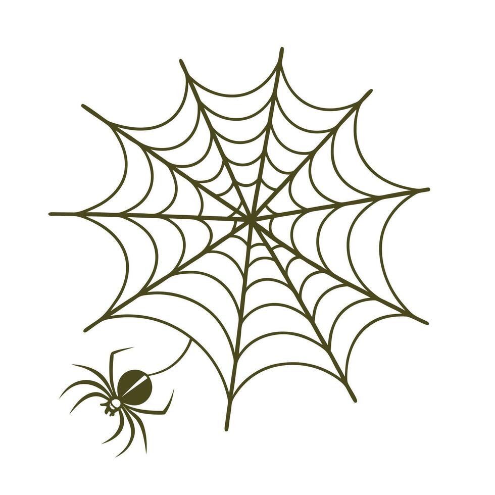 Halloween spider on web isolated on white background. vector