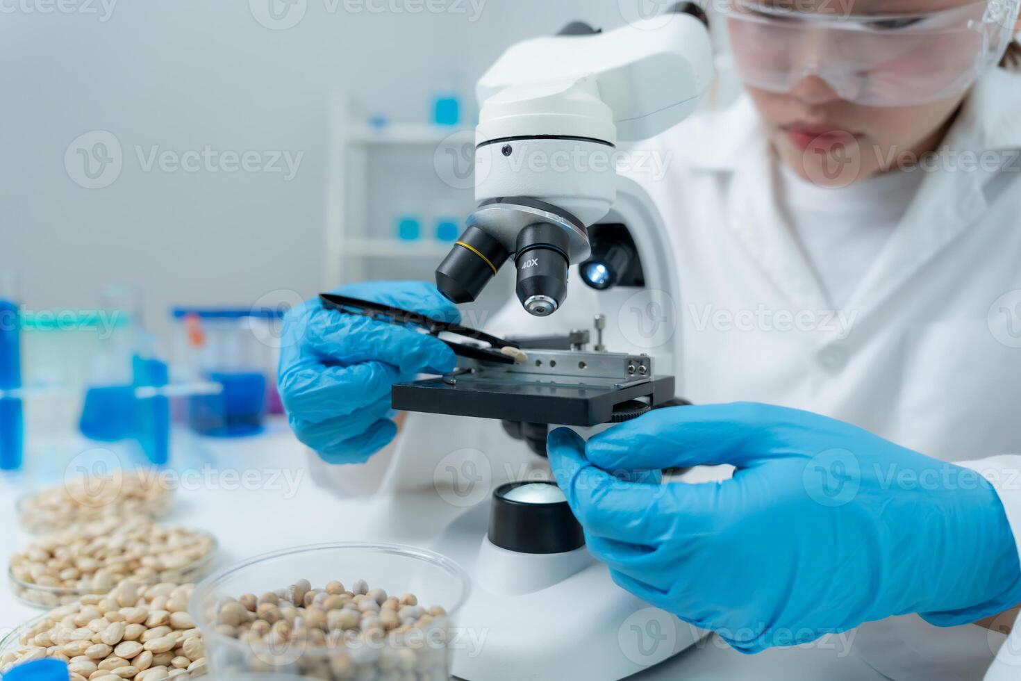 check chemical whole grains residues in laboratory. Control experts inspect the concentration of chemical residues. hazards, standard, prohibited substances, contaminate, Microbiologist. photo