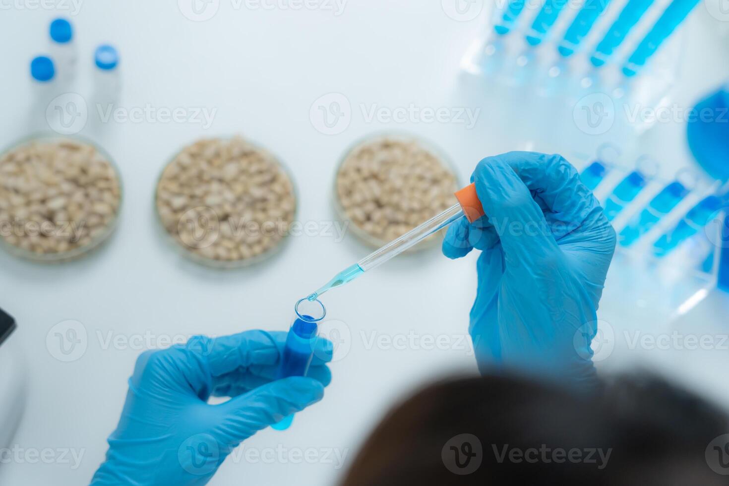 check chemical whole grains residues in laboratory. Control experts inspect the concentration of chemical residues. hazards, standard, prohibited substances, contaminate, Microbiologist photo