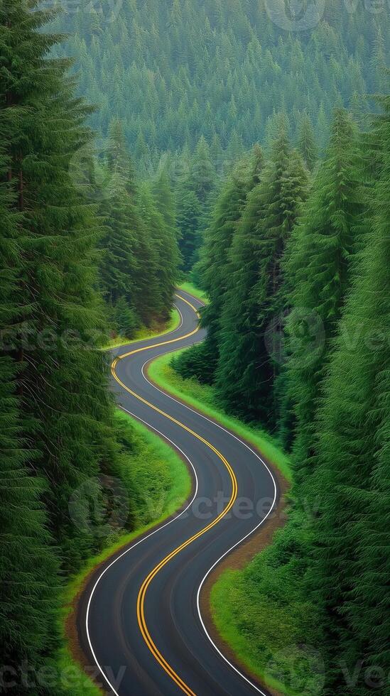 Winding Curved Road Through Emerald Forest Surrounded by Lush Green Trees in Scenic Nature Landscape photo