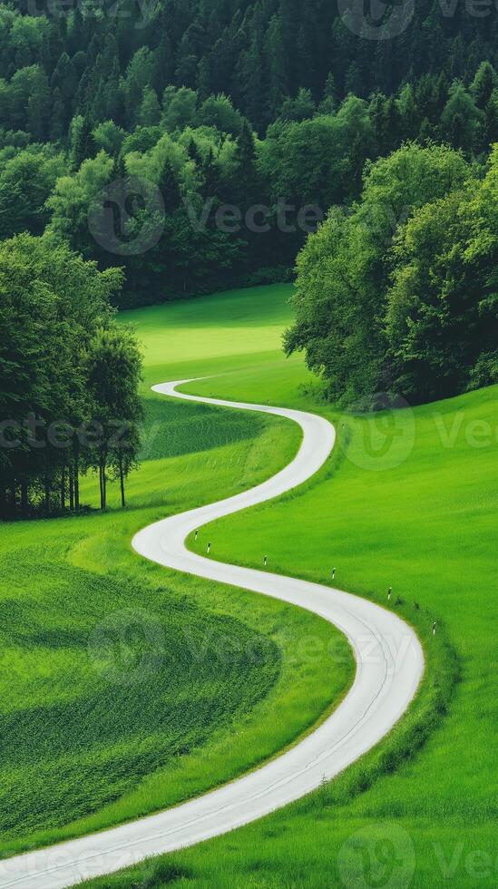 Winding Road Cutting Through Symmetrical Farmland Surrounded by Lush Green Trees and Verdant Fields photo