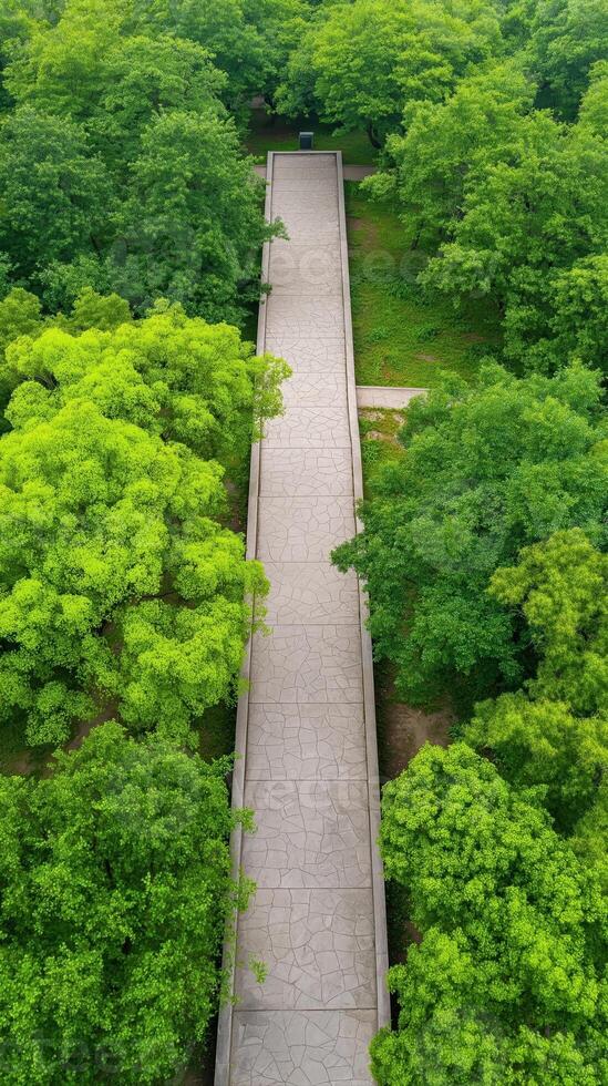 Aerial View of a Magical Garden with Floating Bridges Surrounded by Lush Greenery photo
