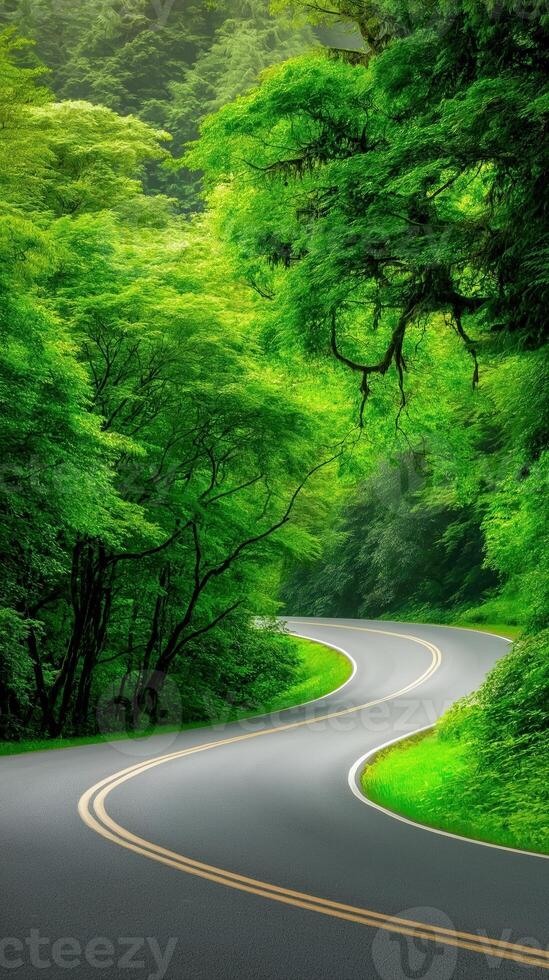 Winding Road Curving Through Lush Emerald Forest with Dense Greenery and Scenic Nature View photo