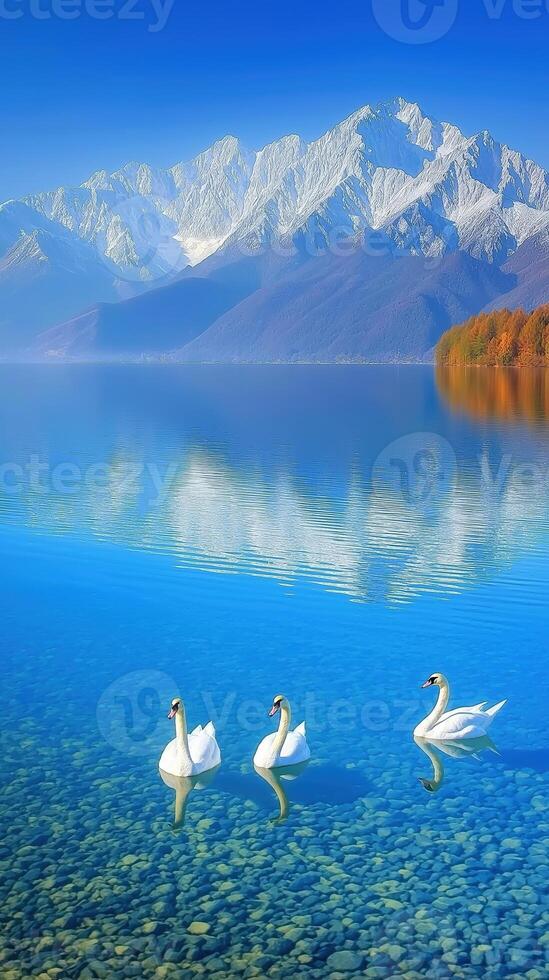 Serene Crystal Clear Lake with Snowy Mountains and Swans Under Bright Blue Sky photo