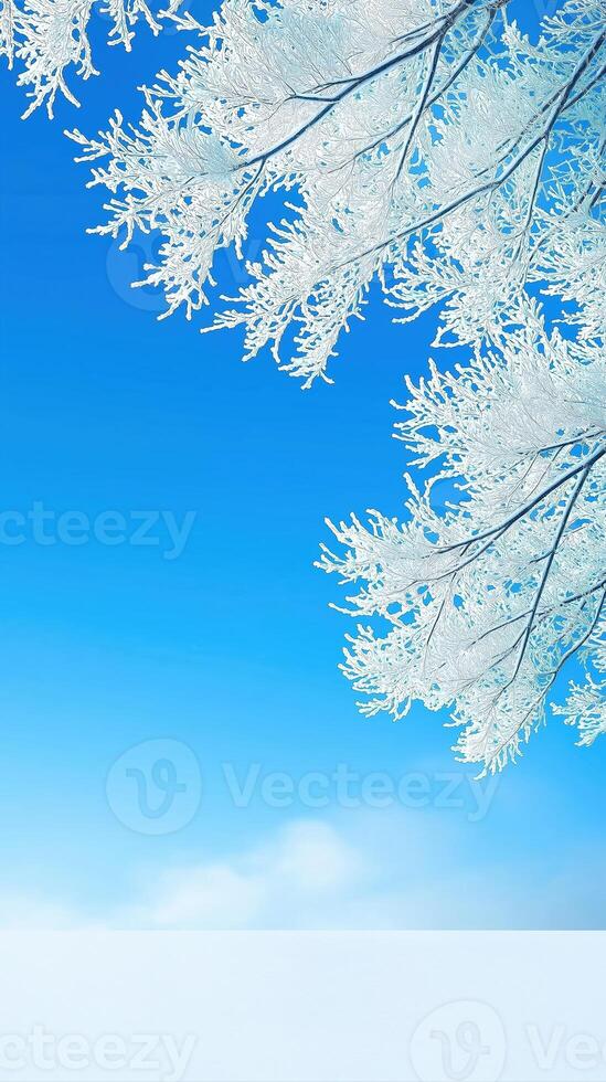 Frosted Tree Branches Glowing Under Bright Blue Sky with Winter Vibes and Scenic Beauty photo