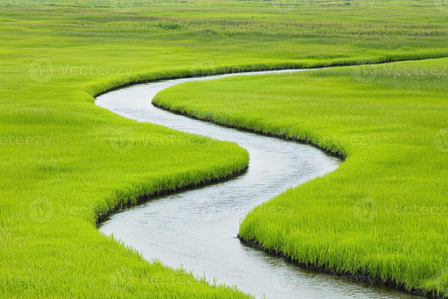 Scenic view of a beautiful river delta surrounded by lush green fields from above photo