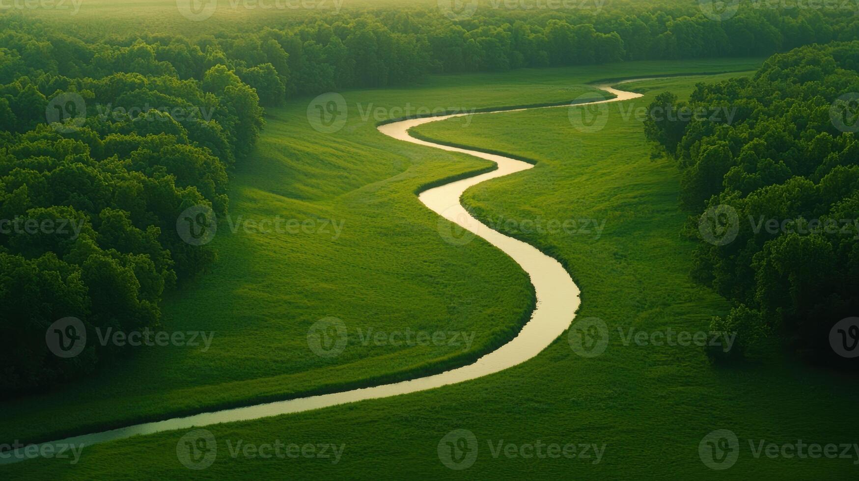 Aerial View of Winding River Surrounded by Lush Green Forest Landscape photo