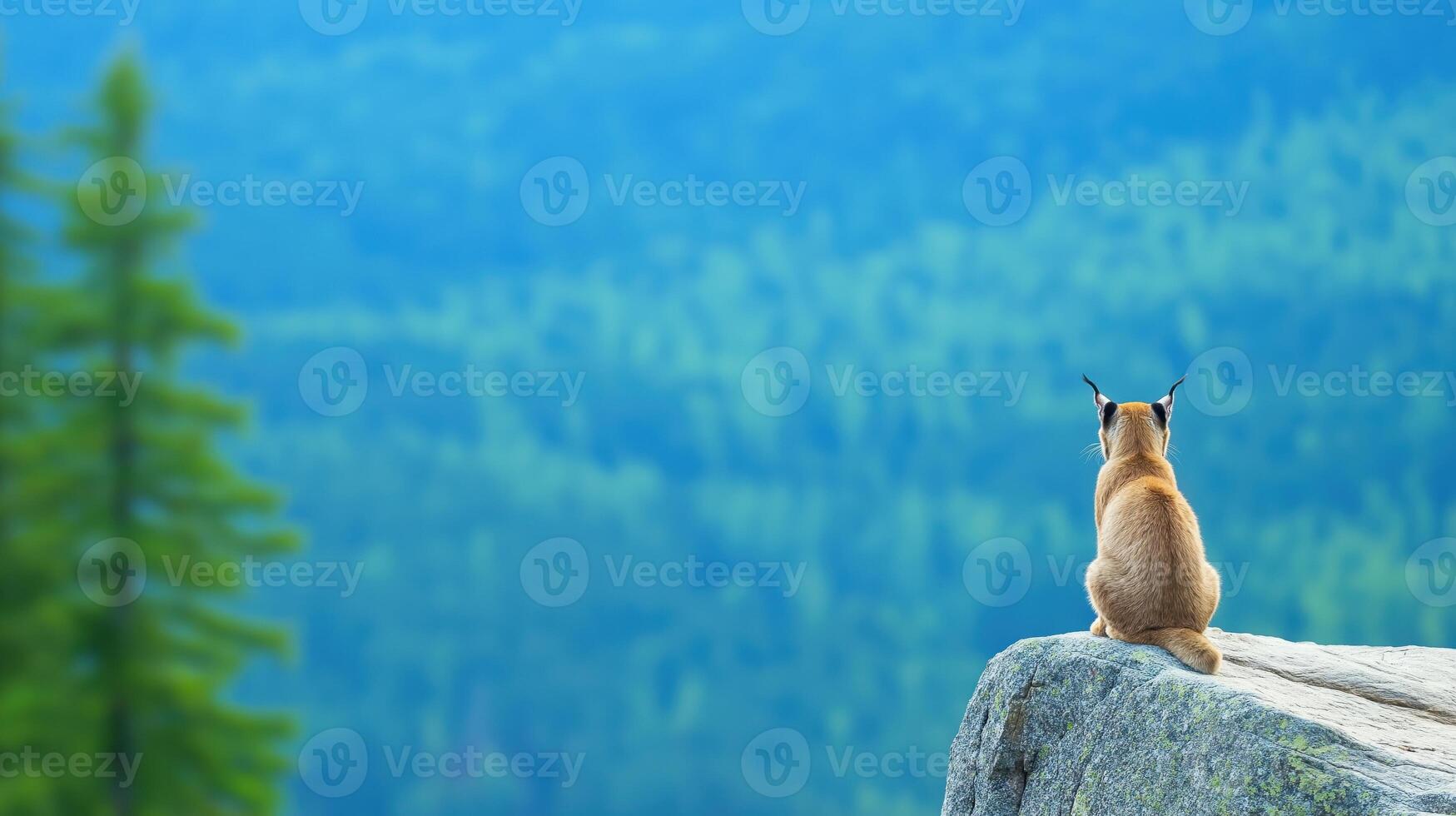 Lone Canine on Rocky Outcrop with Scenic Forest Background in Bright Natural Light photo