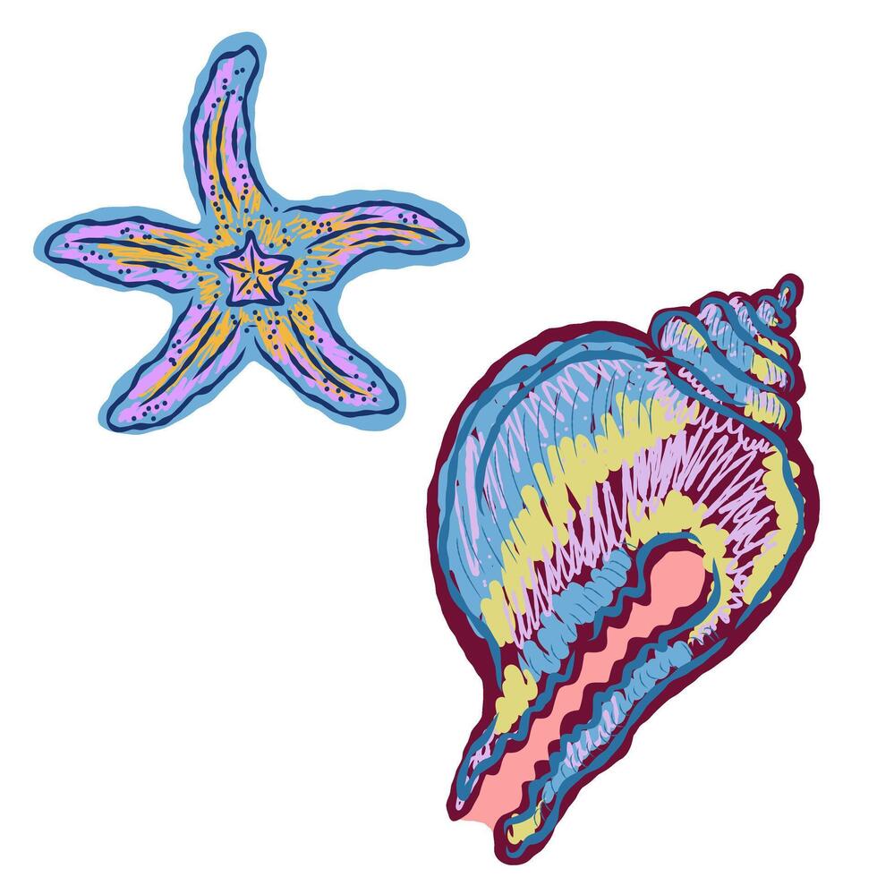 a starfish and shell are shown in a colorful pattern vector