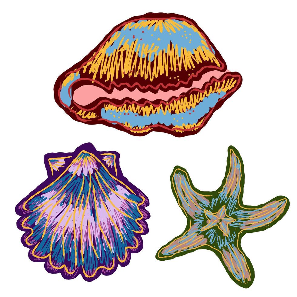 sea shells and starfish vector