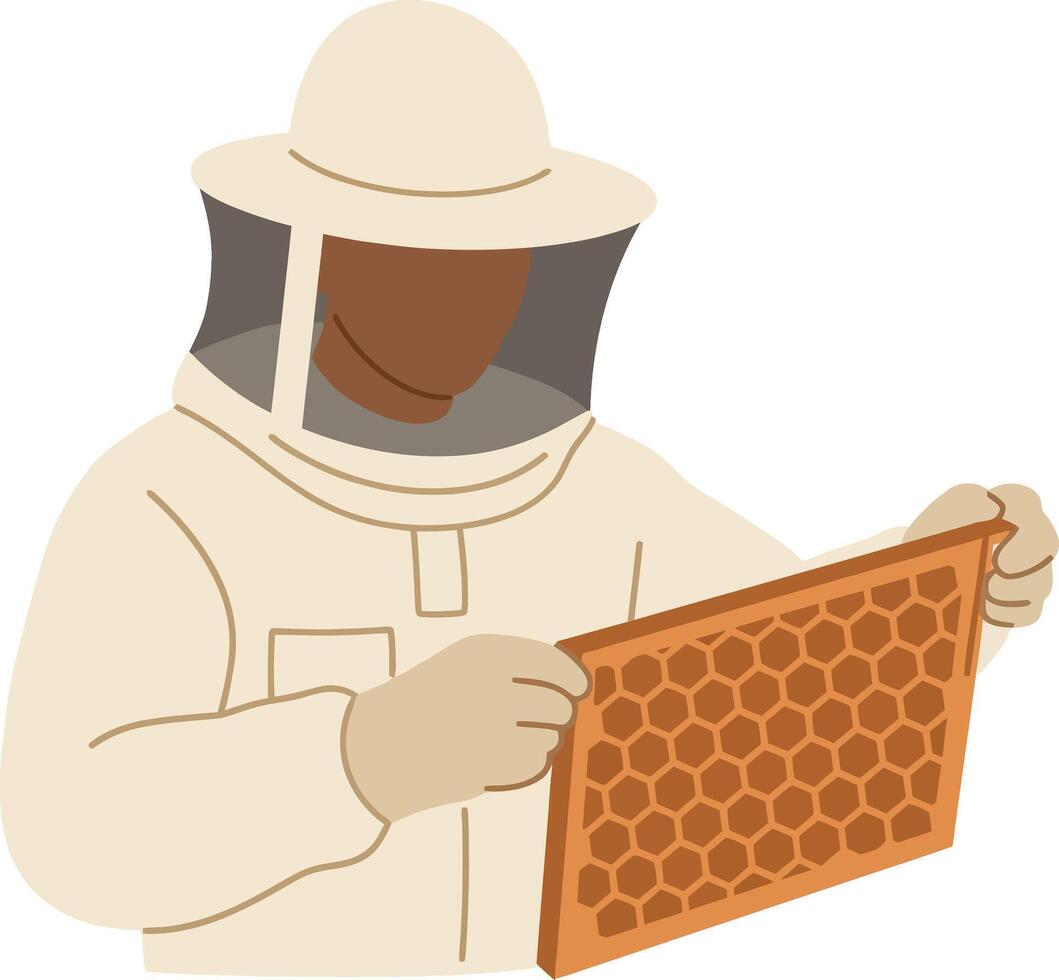 Beekeeper inspecting honeycomb frame in protective suit vector