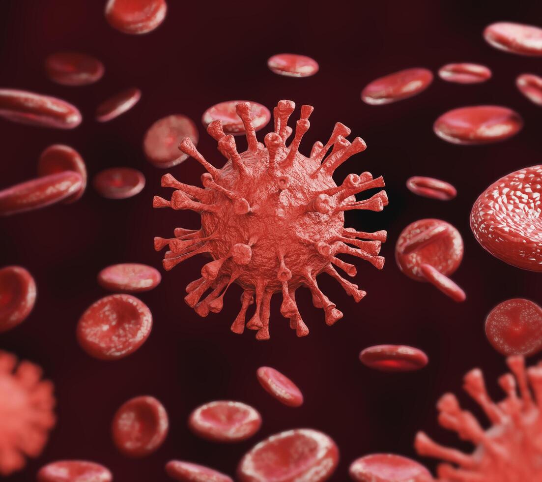 Virus infection In the circulation circulating in red blood cells. The concept of viruses and cells in the human body photo