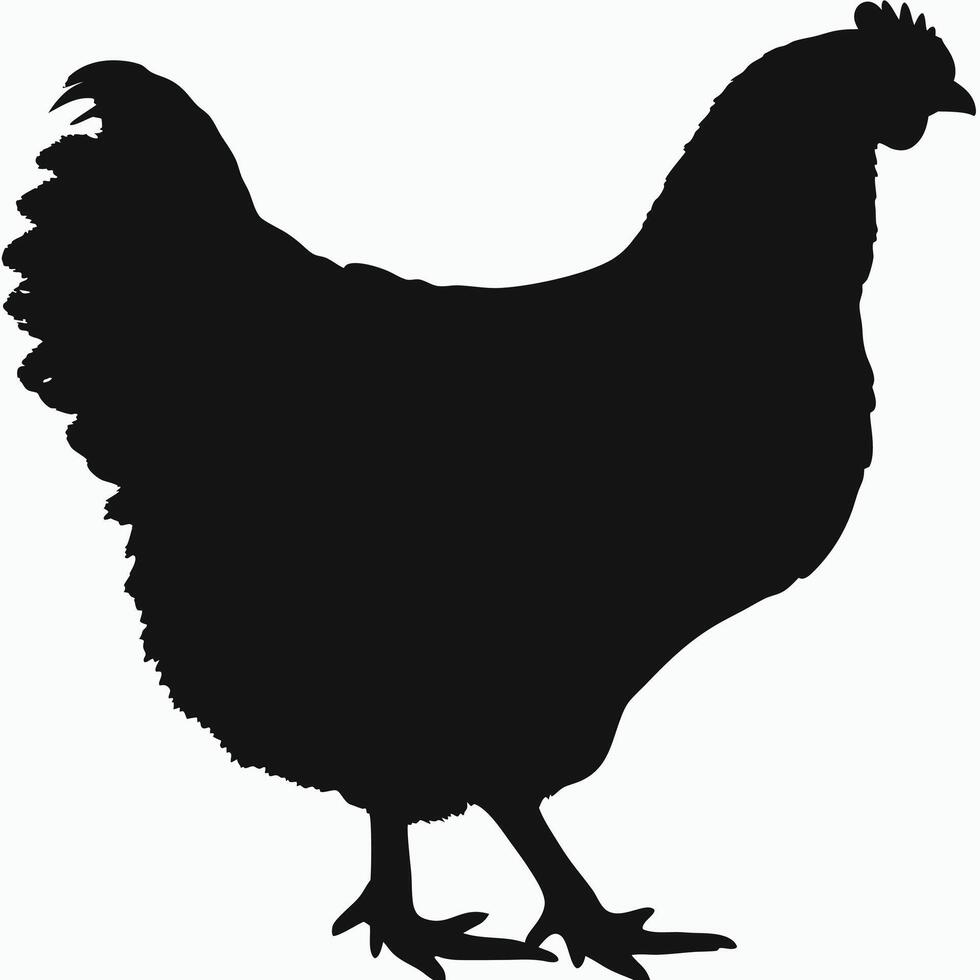 Chicken silhouette image isolated against white background farming and poultry vector