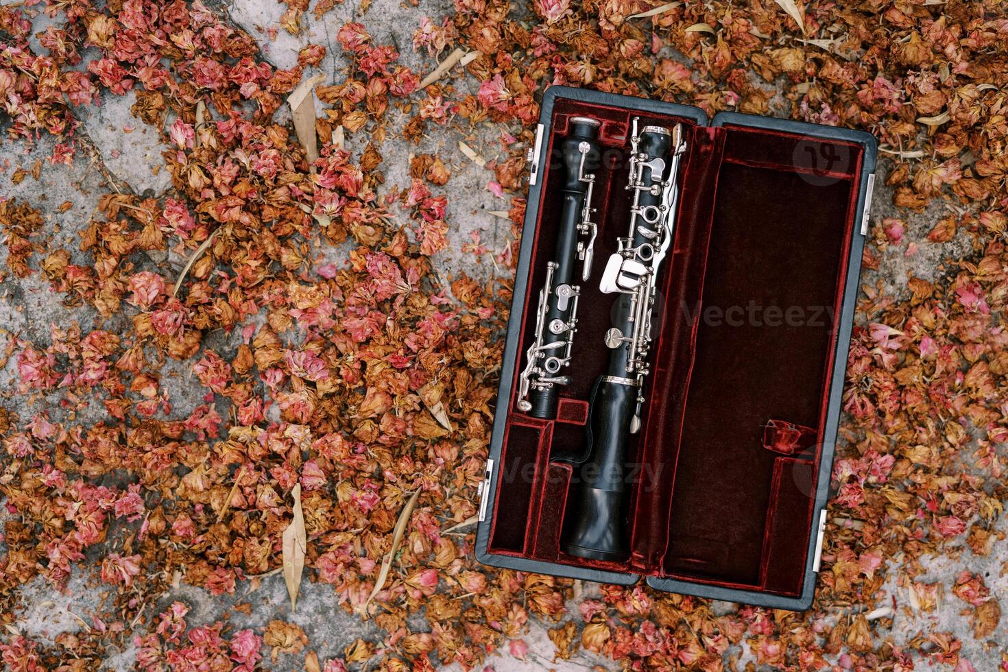 Open clarinet case lies on a stone floor strewn with dried red flower buds photo