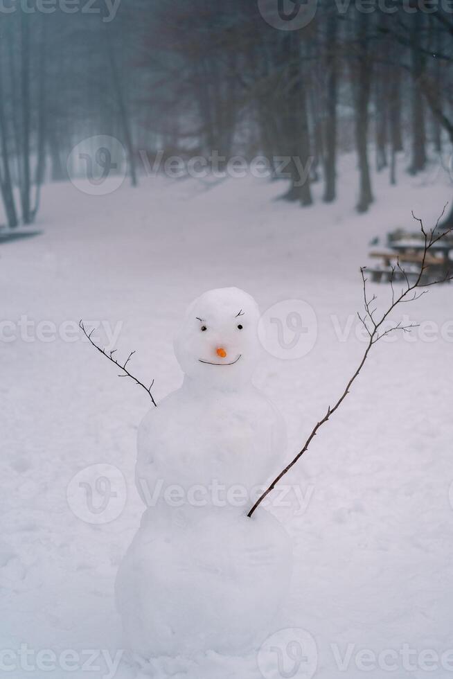Smiling snowman with button eyes and a carrot nose stands on the snow in the forest photo