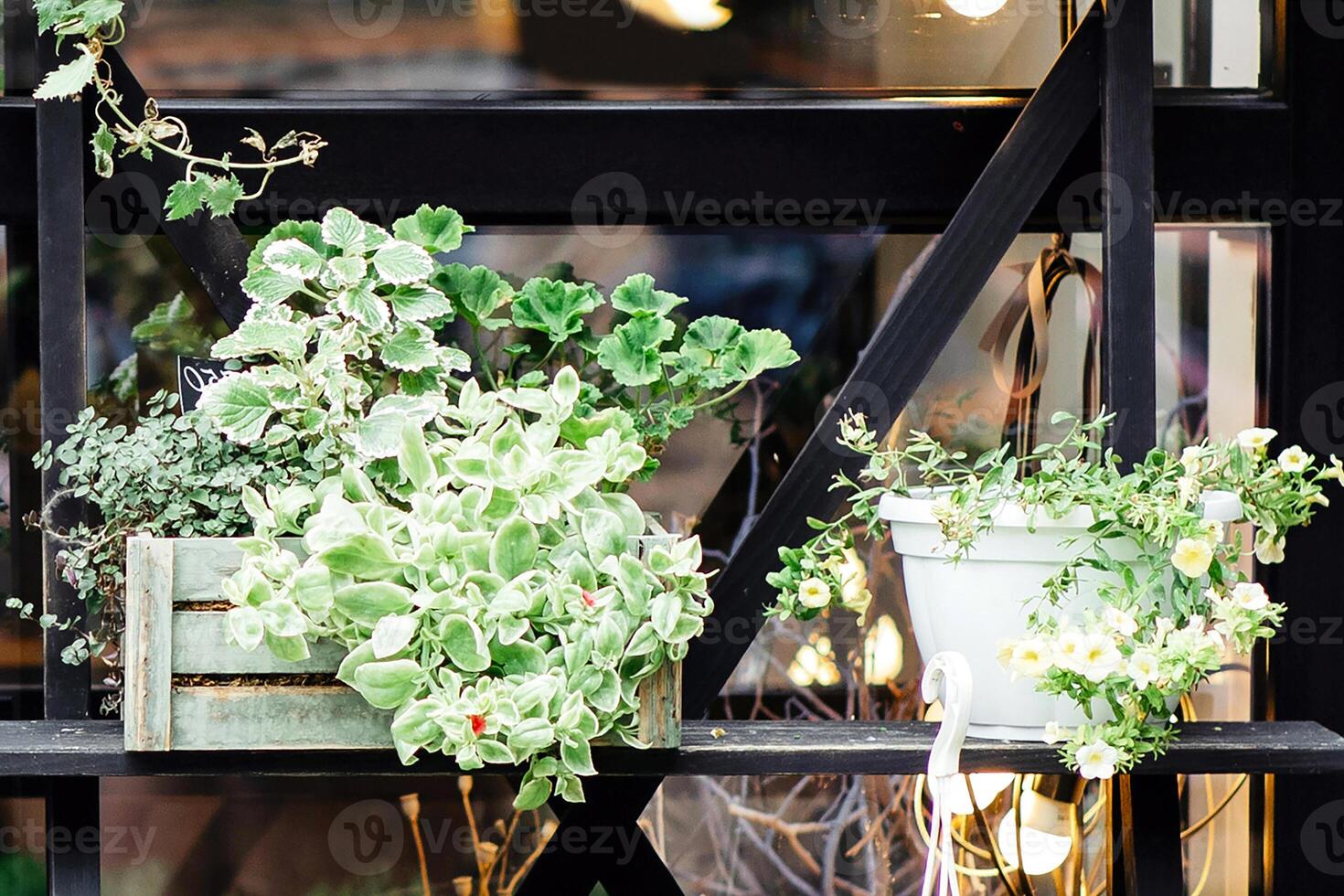 Startup and meeting clients, good morning, small business in city and city garden. Happy young confident guy in apron with crossed arms at flower shop with plants in pots and vases outdoor, free space photo