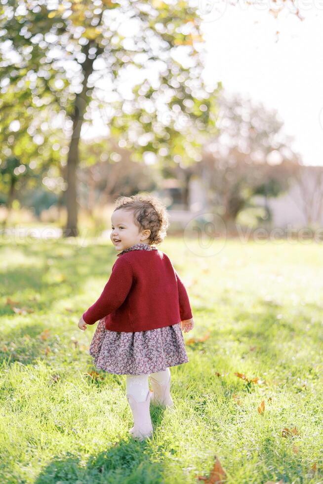 Little smiling girl walks among the fallen leaves, turning around. Back view photo
