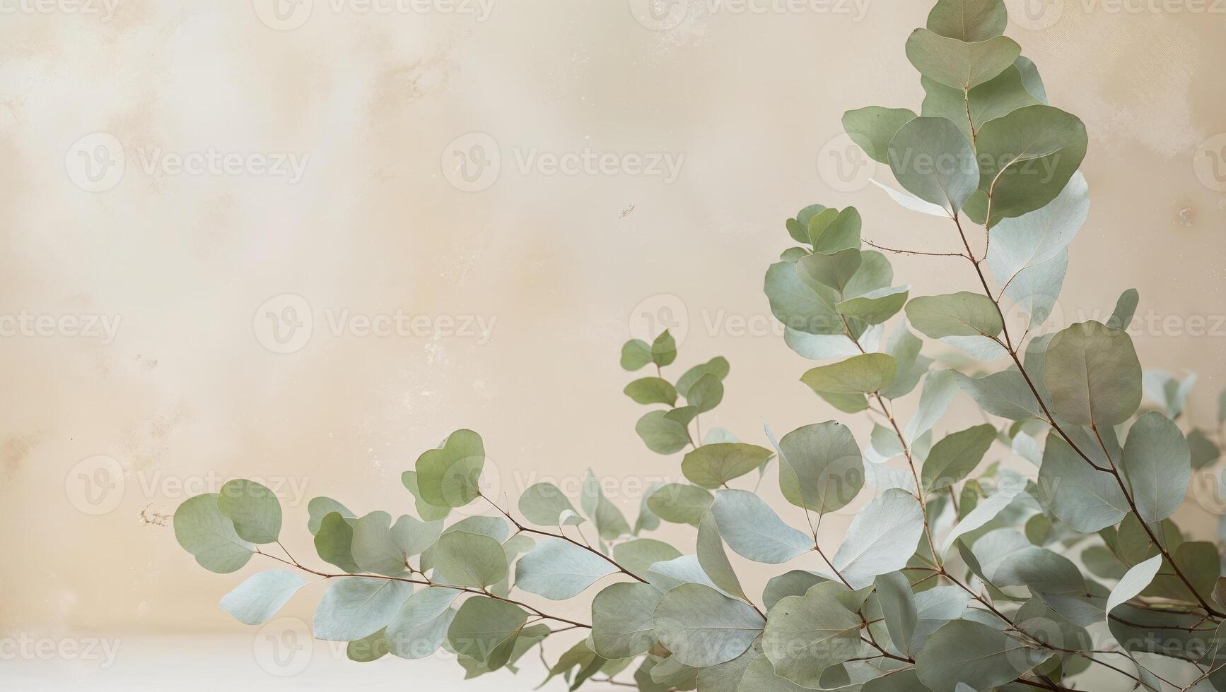 Soft Green Watercolor Eucalyptus Branches on Cream Background for Decorative Use. photo