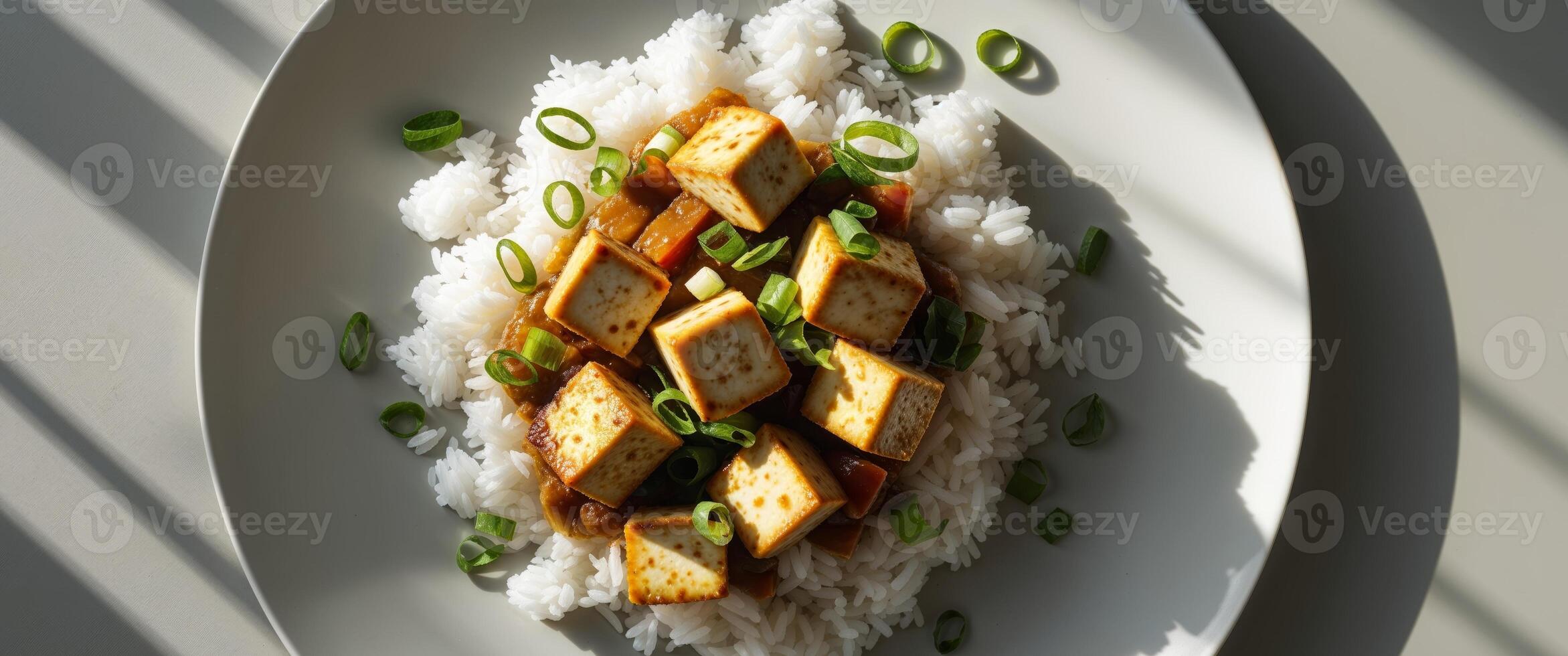 Overhead View of a Plated Meal with Tofu Rice and Green Onions photo