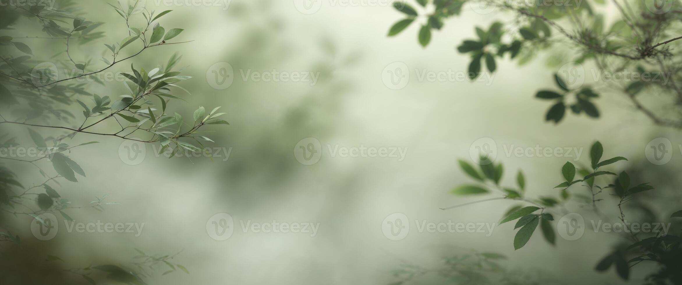 Calming green nature soft focus abstract background photo
