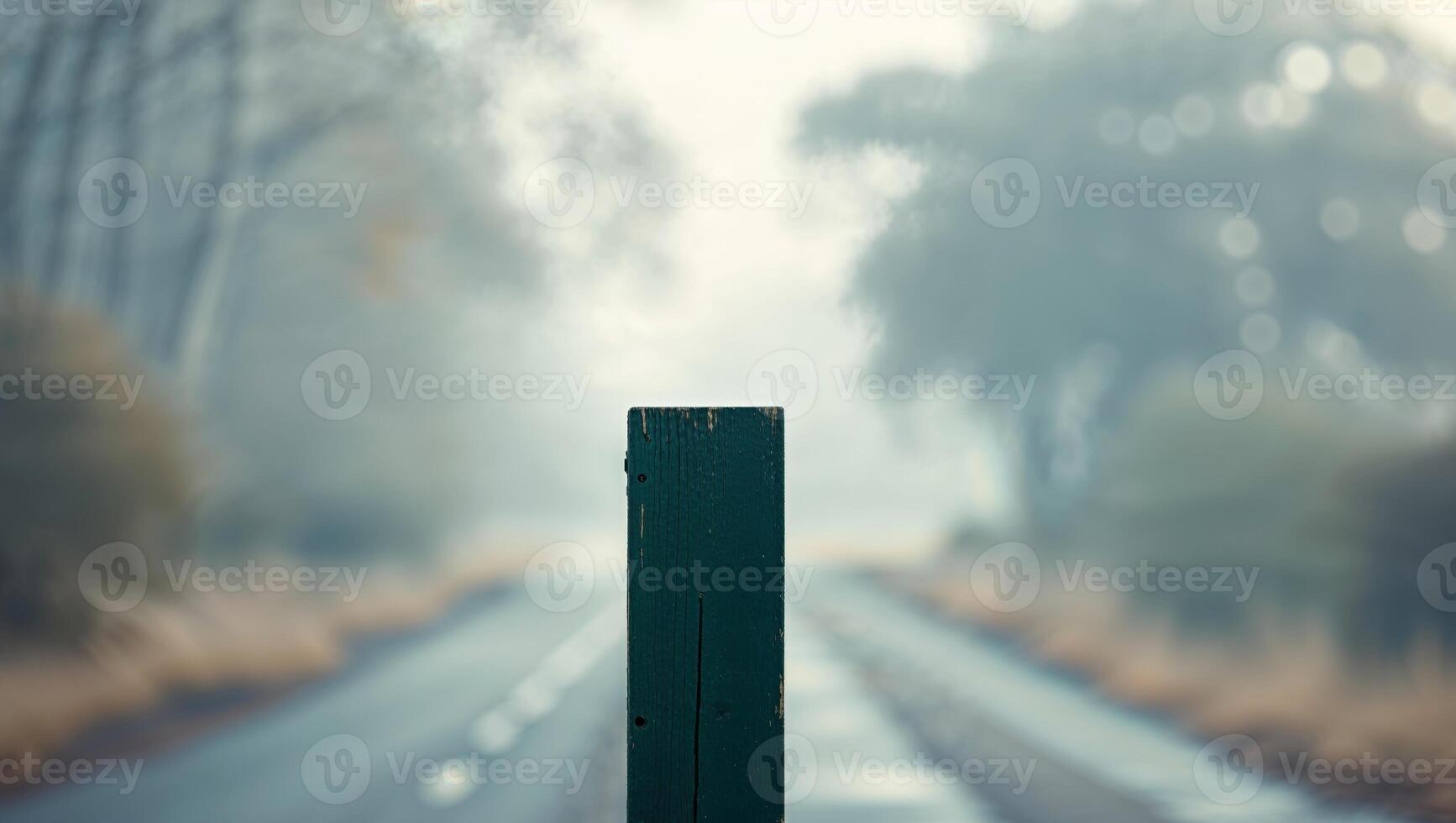 Blank Dark Green Wooden Sign on a Blurred Road photo