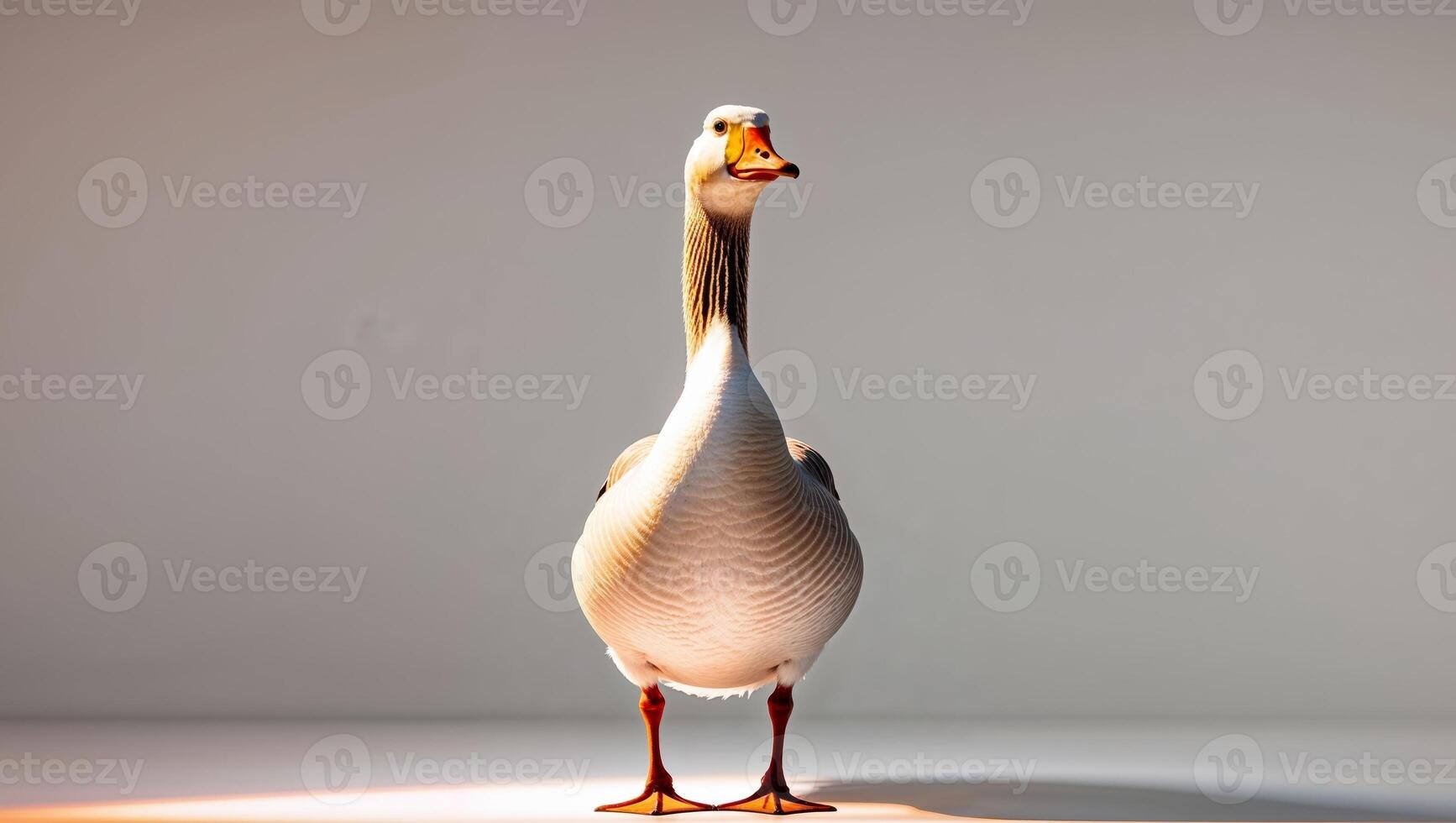 A goose standing on a white surface with a light shining on it photo