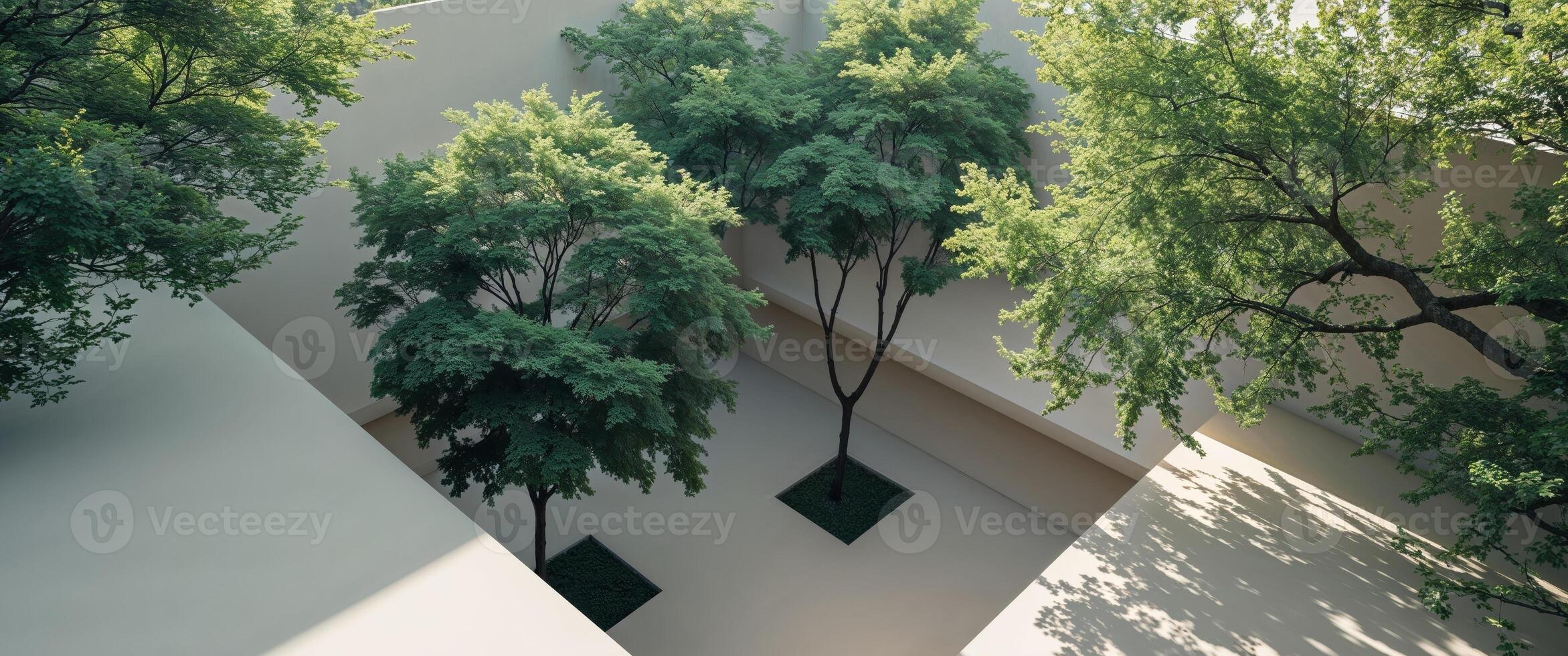 A tree is sitting in a square with a wall photo