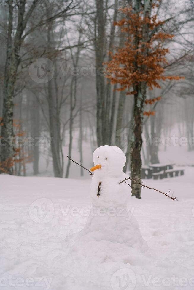 Snowman with a carrot nose stands in a snowy forest against the background of a gazebo photo