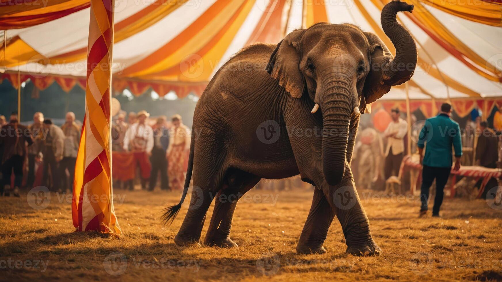 Walking Elephant in an Outdoor Setting with Tent photo