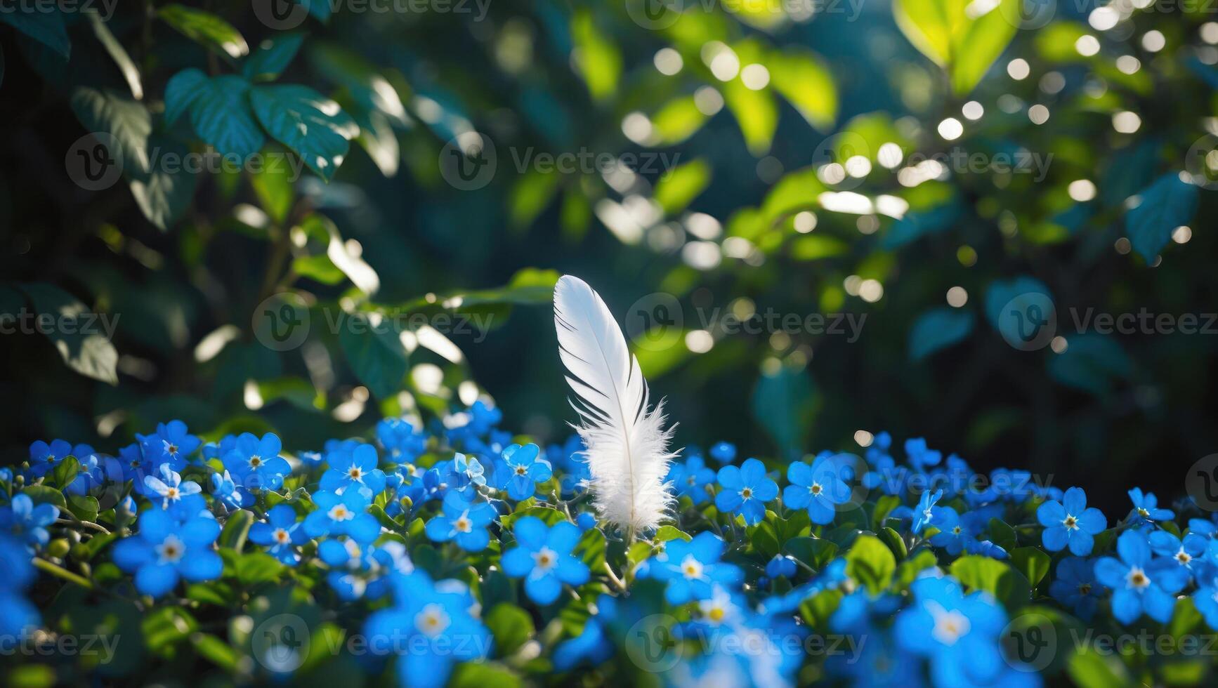 Feather Resting in Field of Small Blue Flowers photo