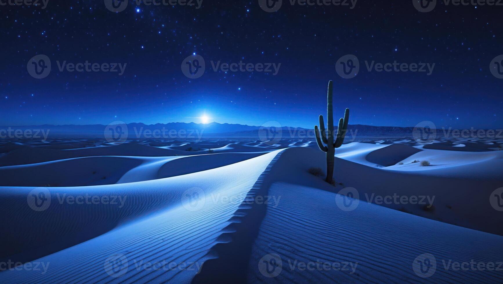 Cactus in Desert Sand Dunes at Night with Starry Sky photo