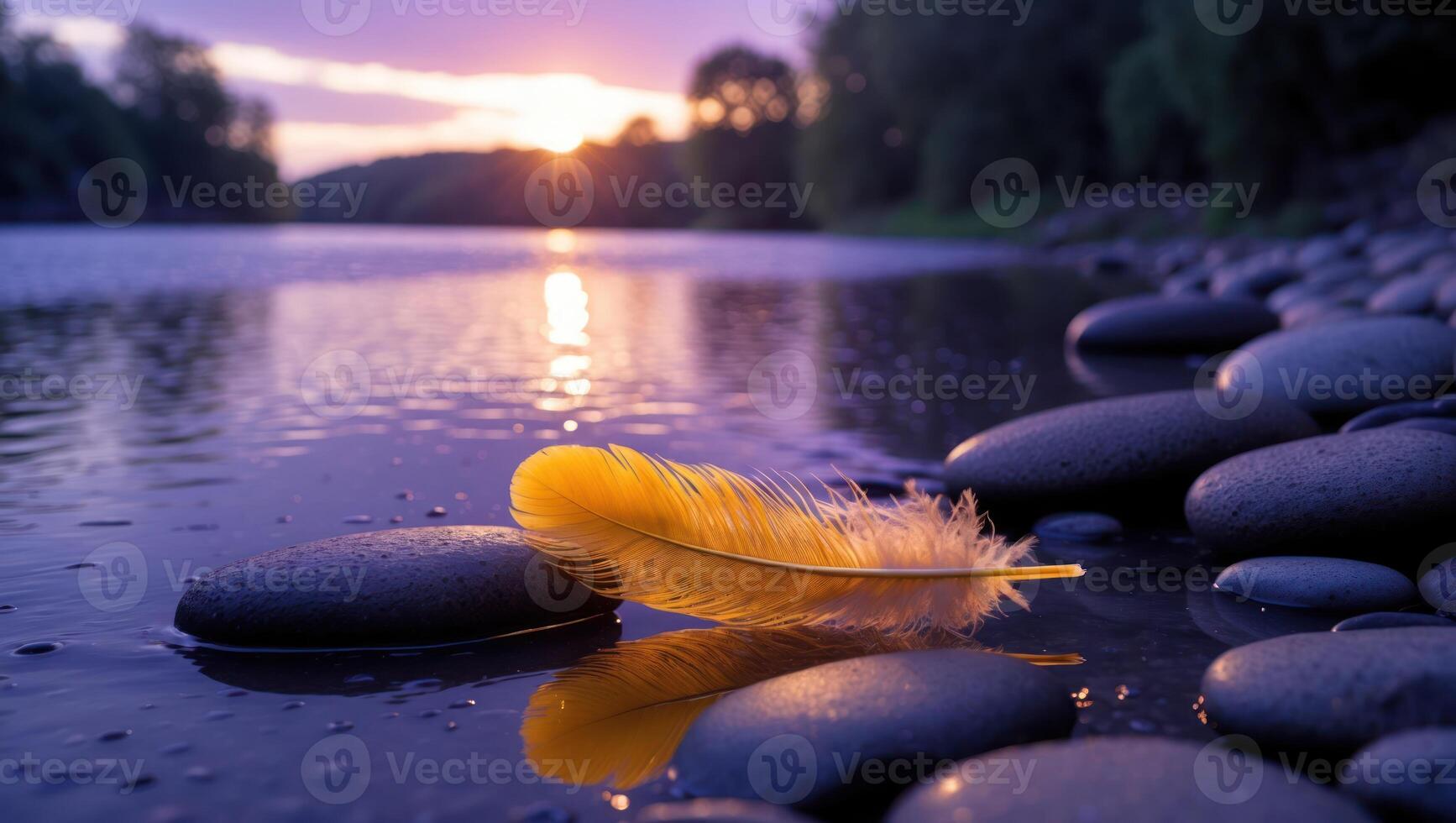 Feather Resting on River Rocks at Sunset photo