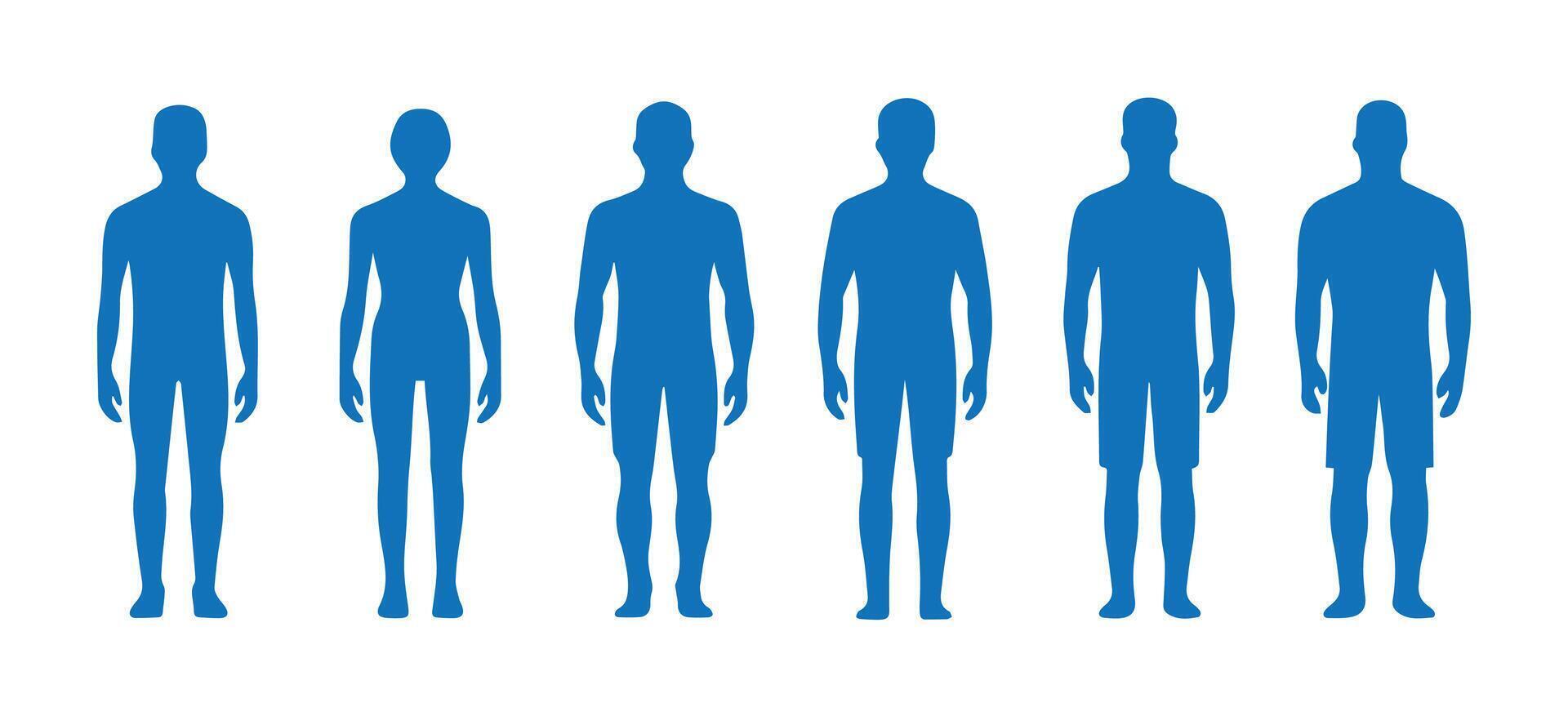 Flat User Silhouettes for HR Software vector