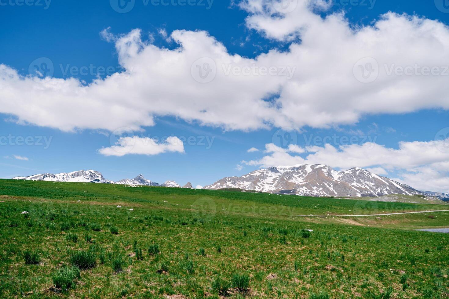 Green pastures at the foot of snowy mountain peaks photo