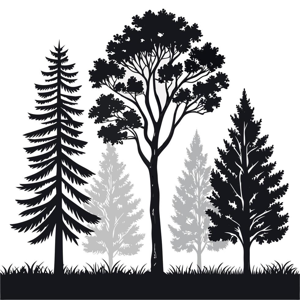 black and white silhouette of trees in the forest vector