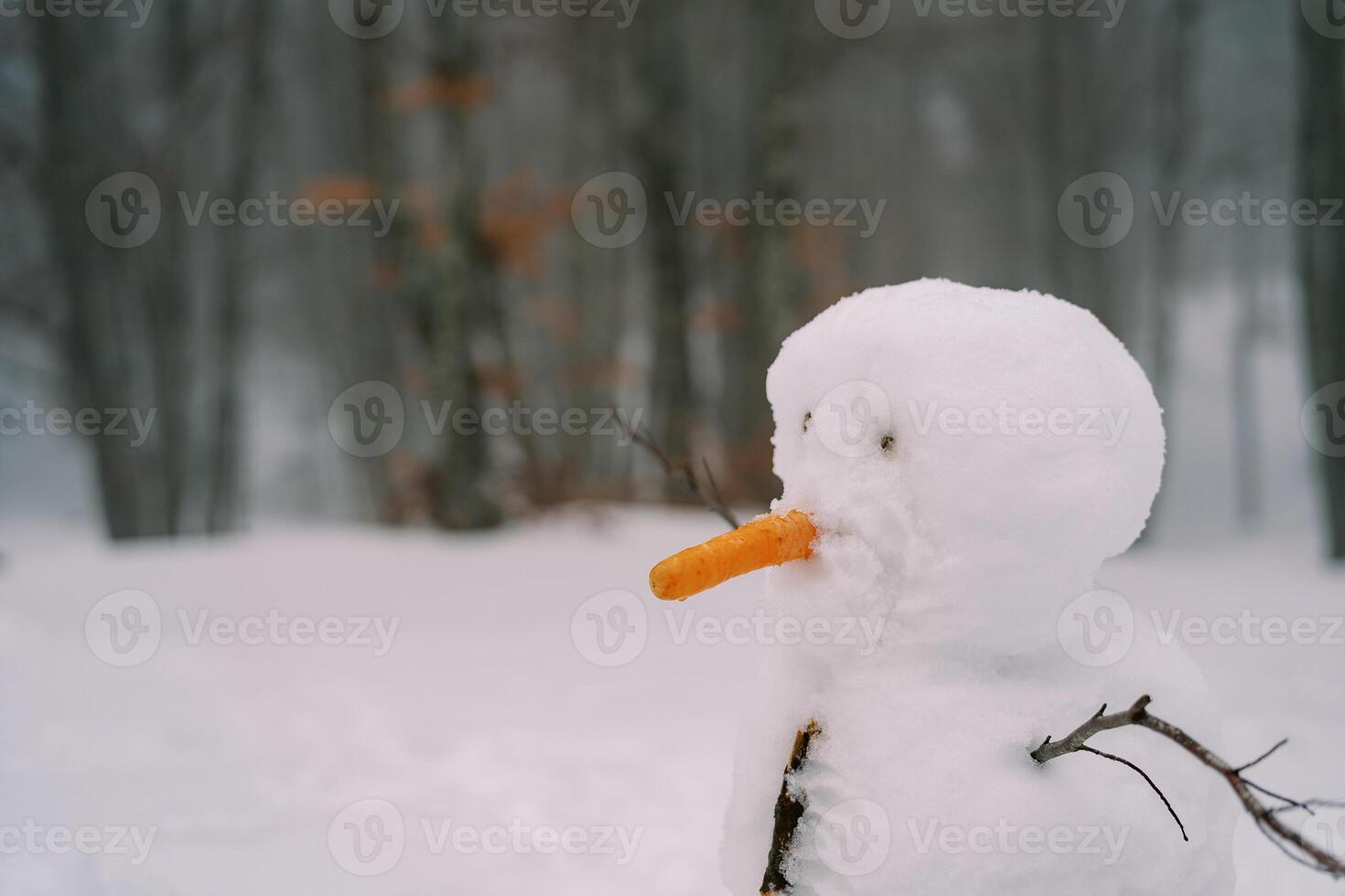 Snowman with a carrot nose stands in a snowy forest. Side view photo