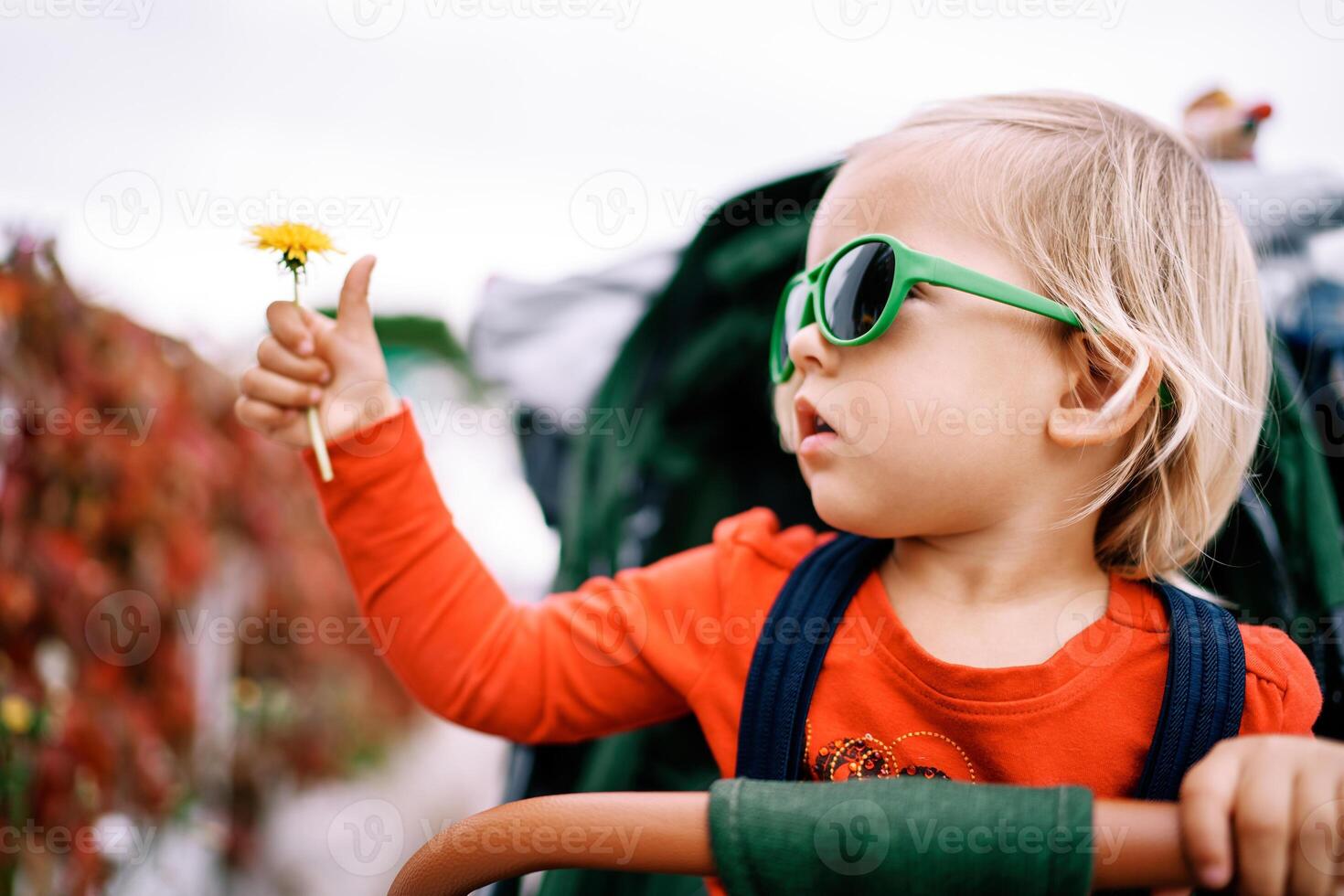 Little girl in sunglasses with a yellow dandelion in her hand sits in a stroller and looks away photo