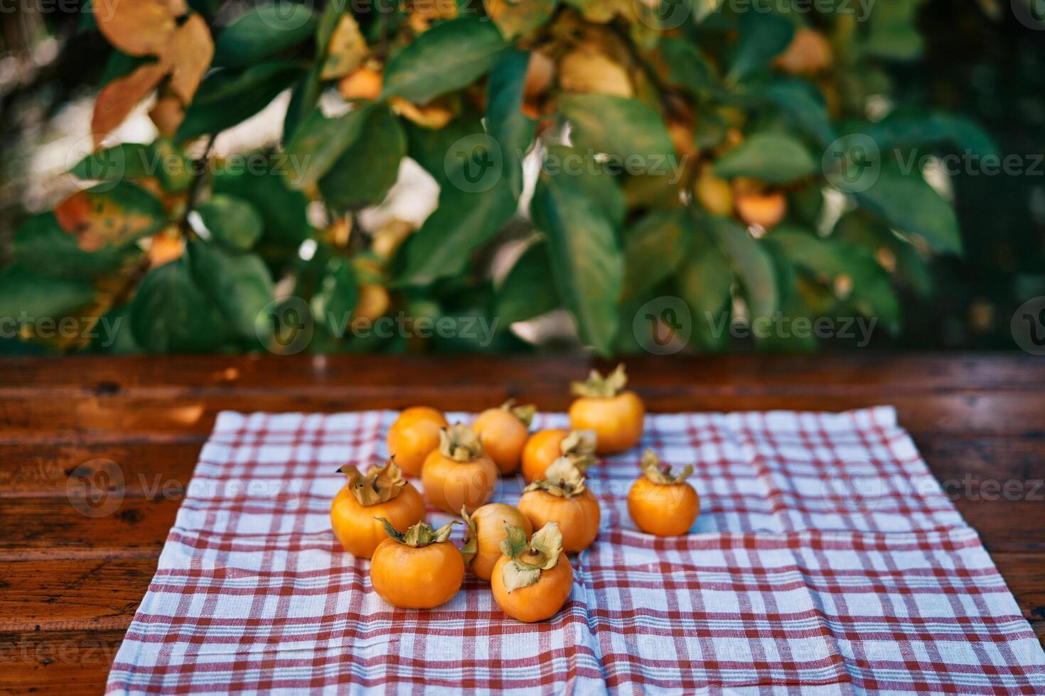 Ripe persimmons lie on a checkered napkin on the table against the background of green foliage photo