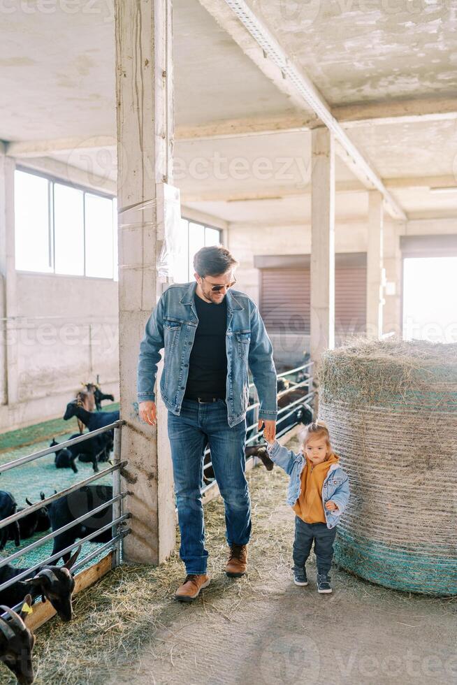 Father and a little girl are walking along the farm near a large bale of hay to the goat pens photo