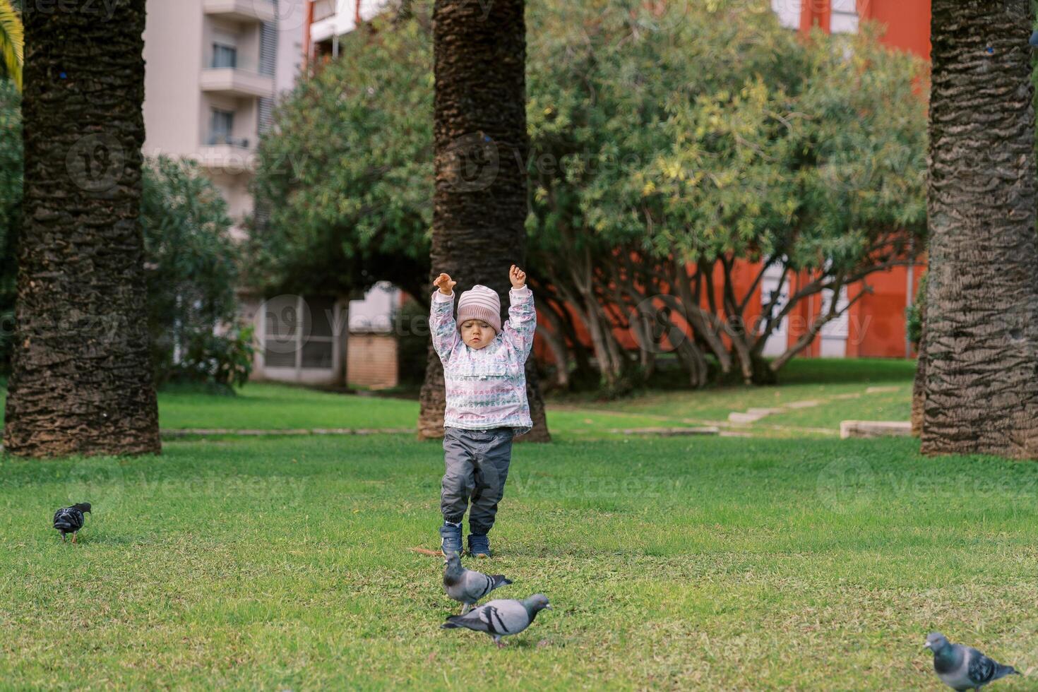Little girl walks after the pigeons with her hands up on the green lawn in front of the house photo