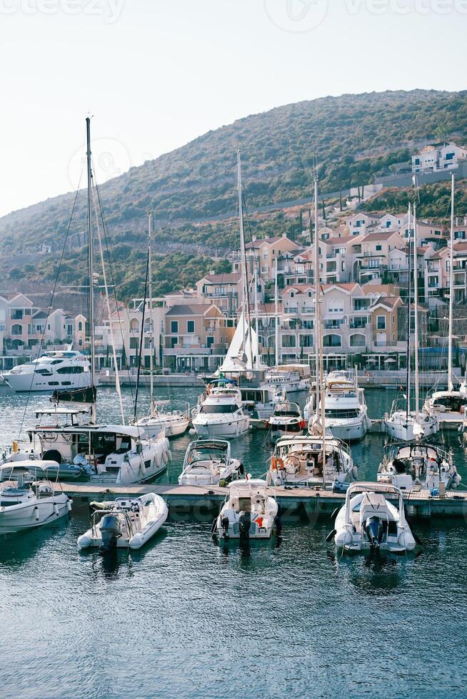 Yachts stand in rows along the piers in front of colorful houses. Lustica Bay Marina, Montenegro photo