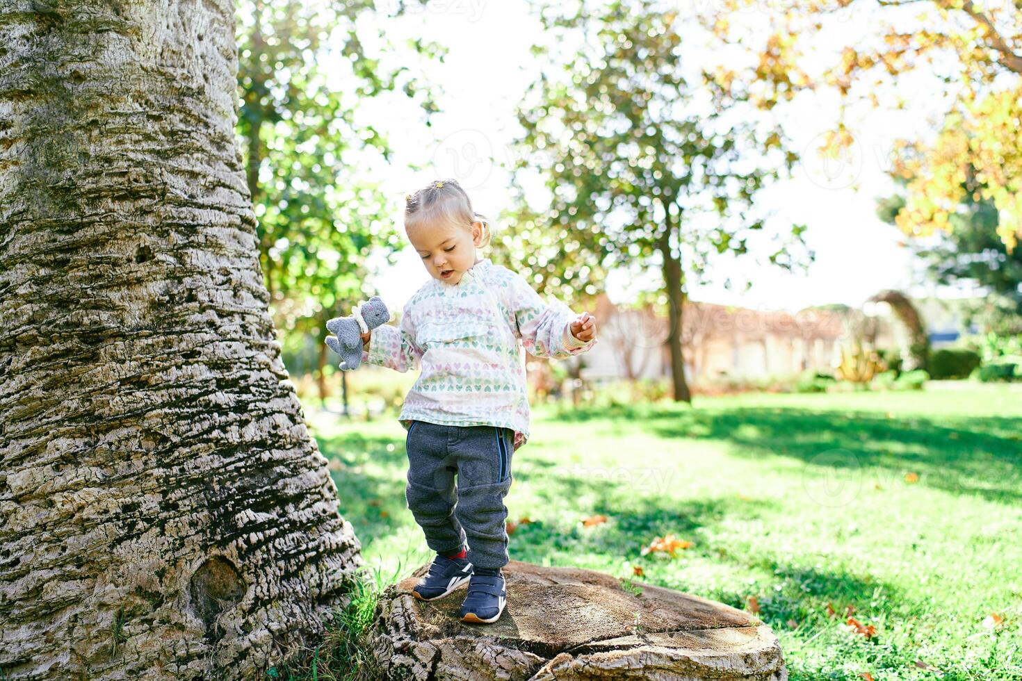 Little girl with a toy in her hand walks on a huge stump in the garden photo