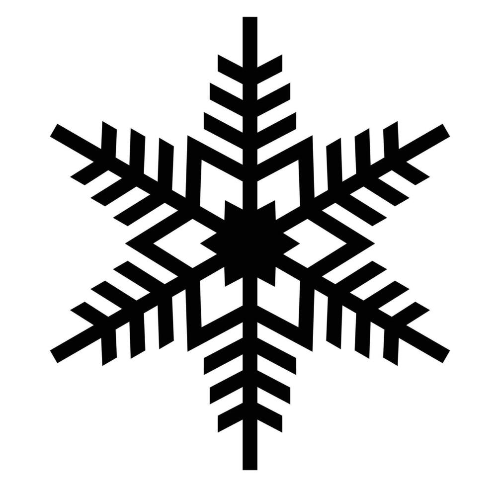 A snowflake is shown on a white background. vector
