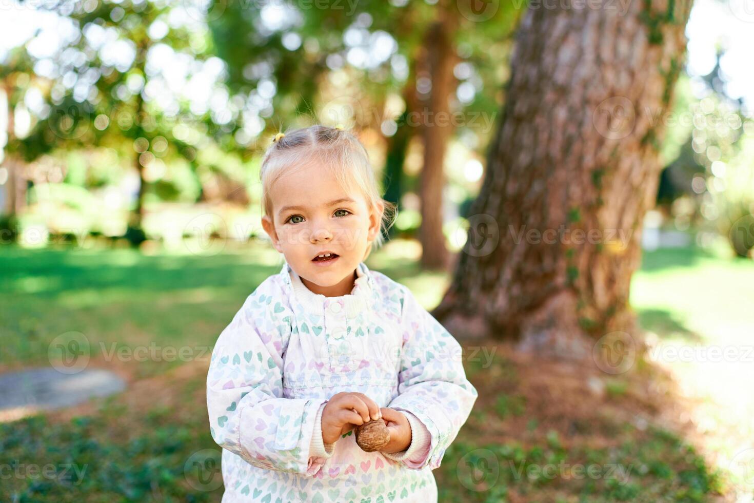 Little smiling girl stands near a tree in a sunny forest with a nut in her hands photo