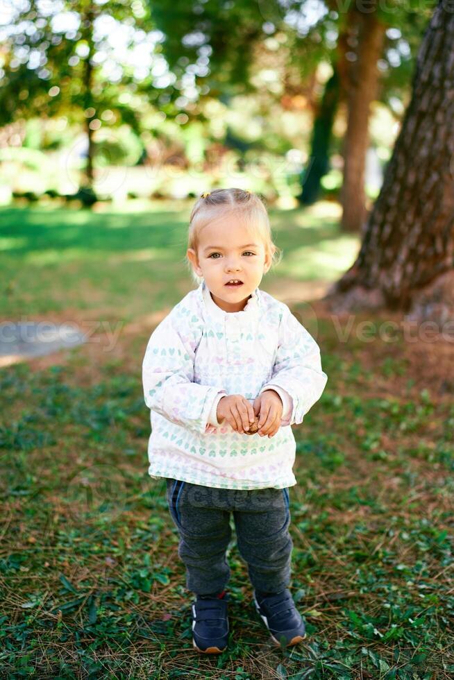 Little girl stands on the lawn near a tree with a nut in her hands photo