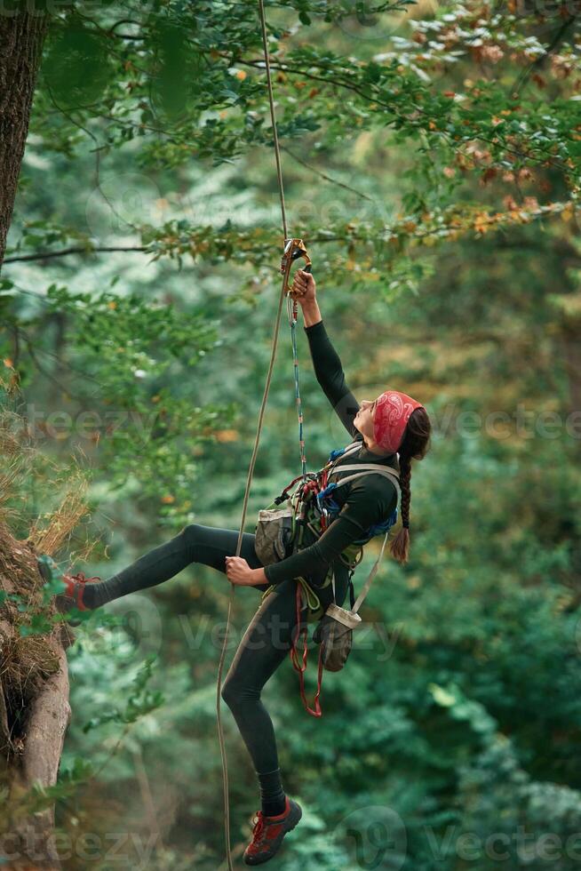In sportive ,,clothes, high up on the rope. Woman is doing climbing in the forest by the use of safety equipment photo