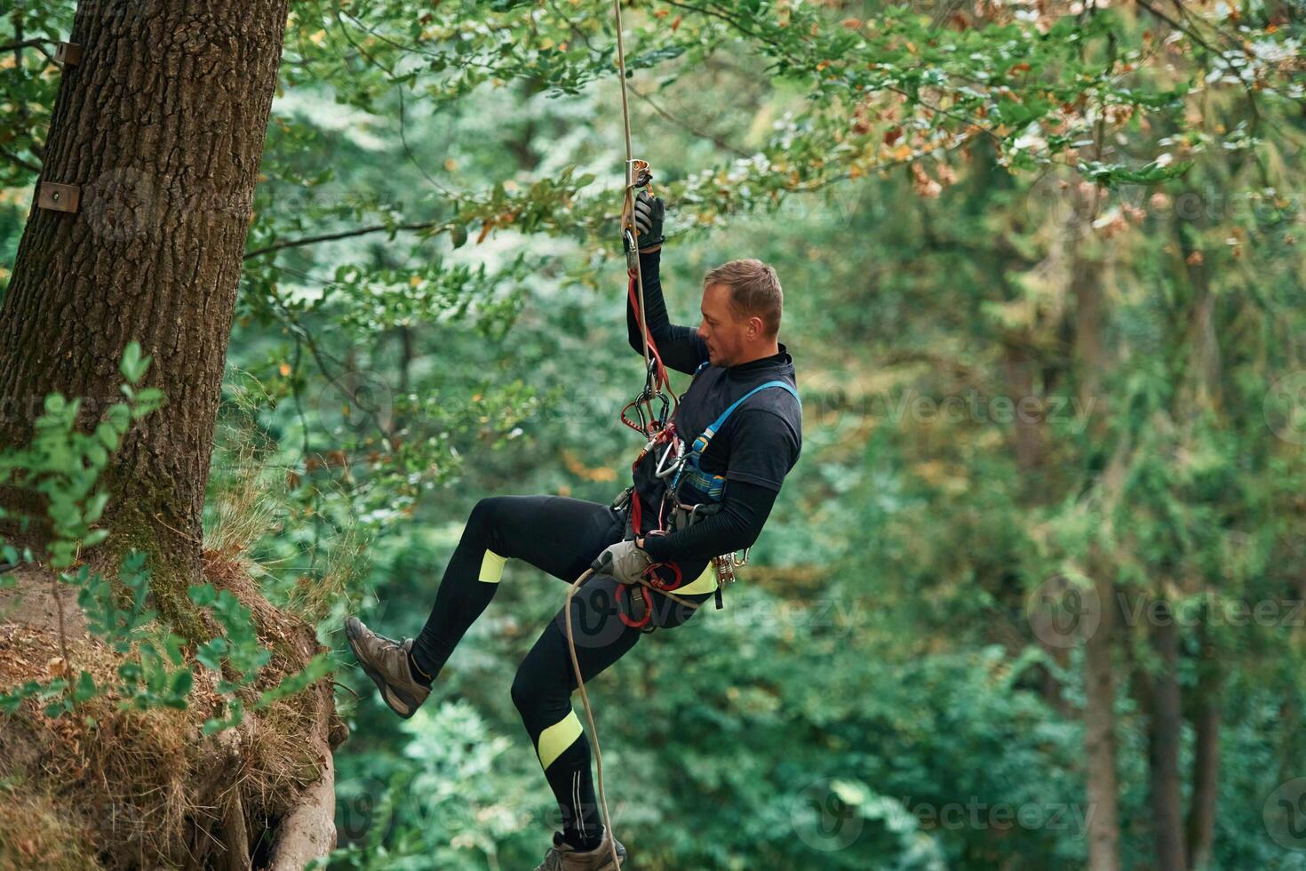Hanging on a, rope. Man is, doing climbing in the forest by use of safety equipment photo